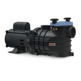 Bomba Centrífuga Eko 1 CV - M60 - 110/220-254V - Para Piscina - Schneider