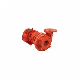 Bomba Centrífuga - BPI-21R - 4,00CV Trifásico - Schneider