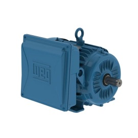 Motor Monofásico 5,00cv com Pés - 2 polos - 220/440V - 13228707 - WEG