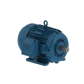 Motor Trifásico Blindado 0,25 CV - 4 Polos - 220/380V - IR3 Premium - Weg