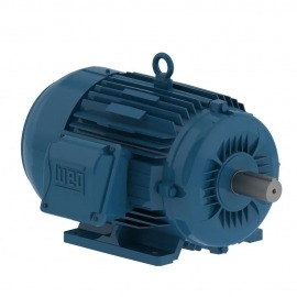 Motor Trifásico Blindado 1,50 CV - 4 Polos - 220/380V - IR3 Premium - Weg