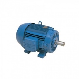 Motor Trifásico Blindado - 4,00cv - 4 Polos - 220/380V/440V - WEG