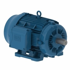 Motor Trifásico Blindado - 30,00cv - 6 Polos - 220/380/440v - Weg